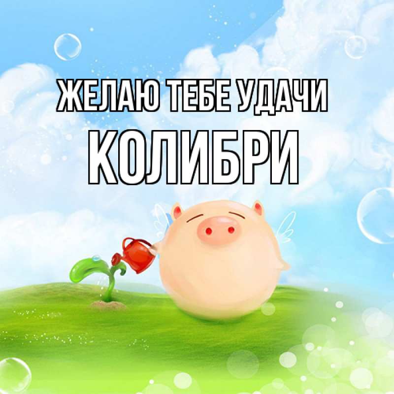 Картинка Желаю тебе удачи, Колибри