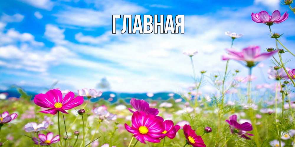 Открытка на каждый день с именем, Марьяна Главная поле цветов Прикольная открытка с пожеланием онлайн скачать бесплатно 