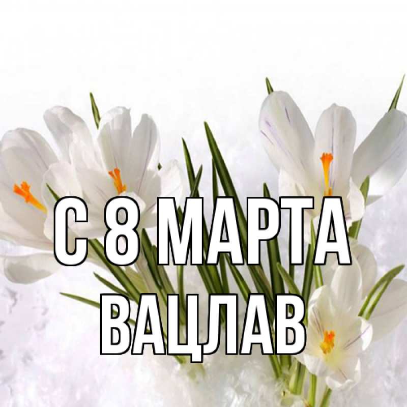 Картинка C 8 МАРТА, Вацлав