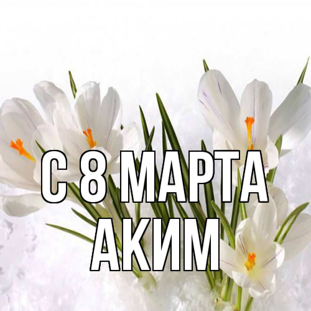 Открытка на каждый день с именем, Аким C 8 МАРТА под снегом Прикольная открытка с пожеланием онлайн скачать бесплатно 