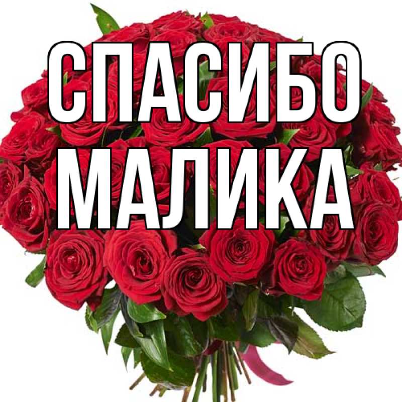 Картинка Спасибо, Малика