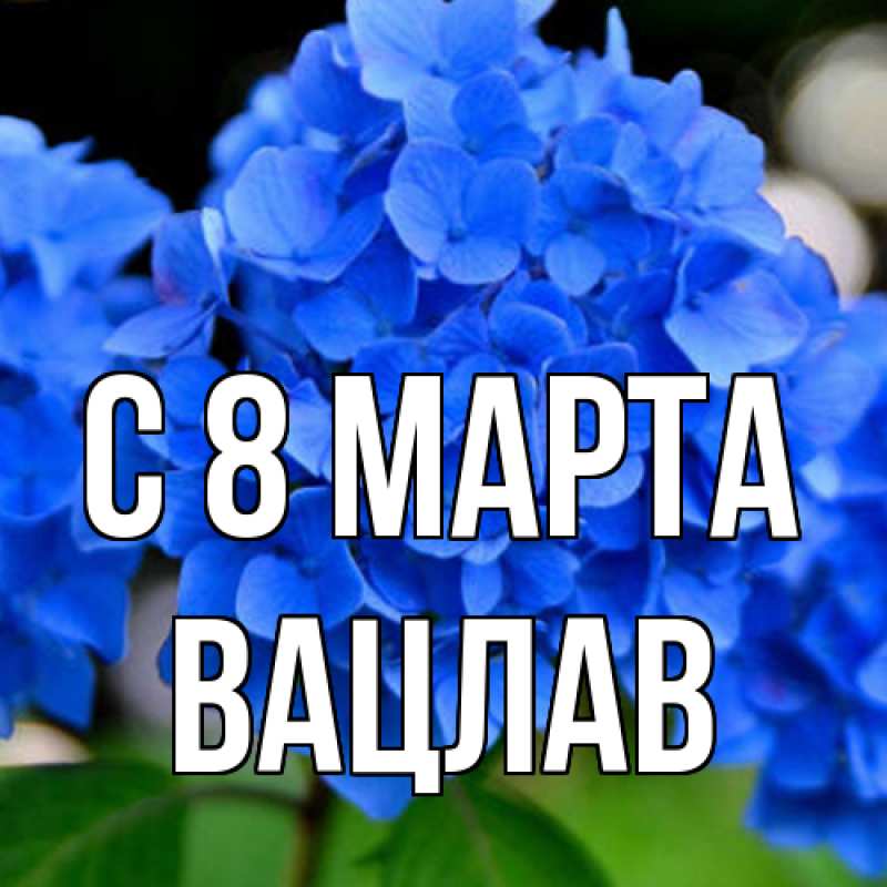Картинка C 8 МАРТА, Вацлав