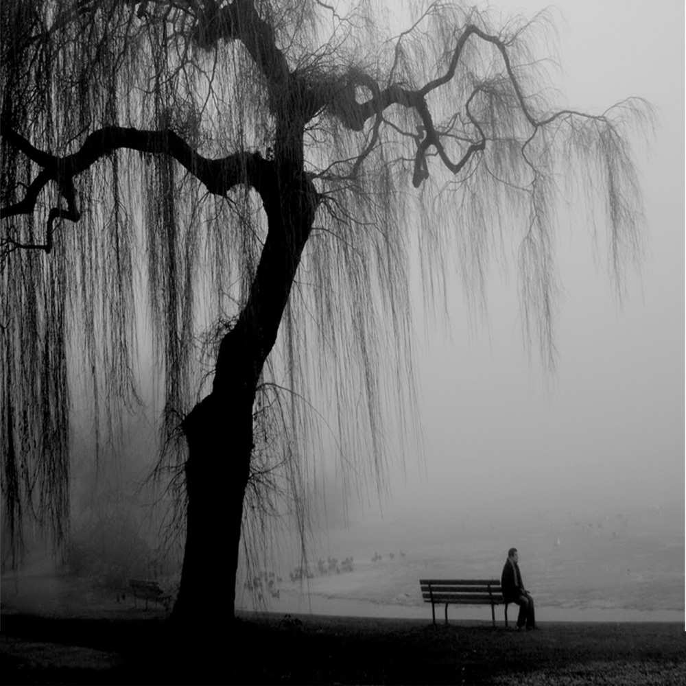 Открытка на каждый день с именем, Волчонок Не грусти висящие ветки дерева и лавочка под деревом Прикольная открытка с пожеланием онлайн скачать бесплатно 