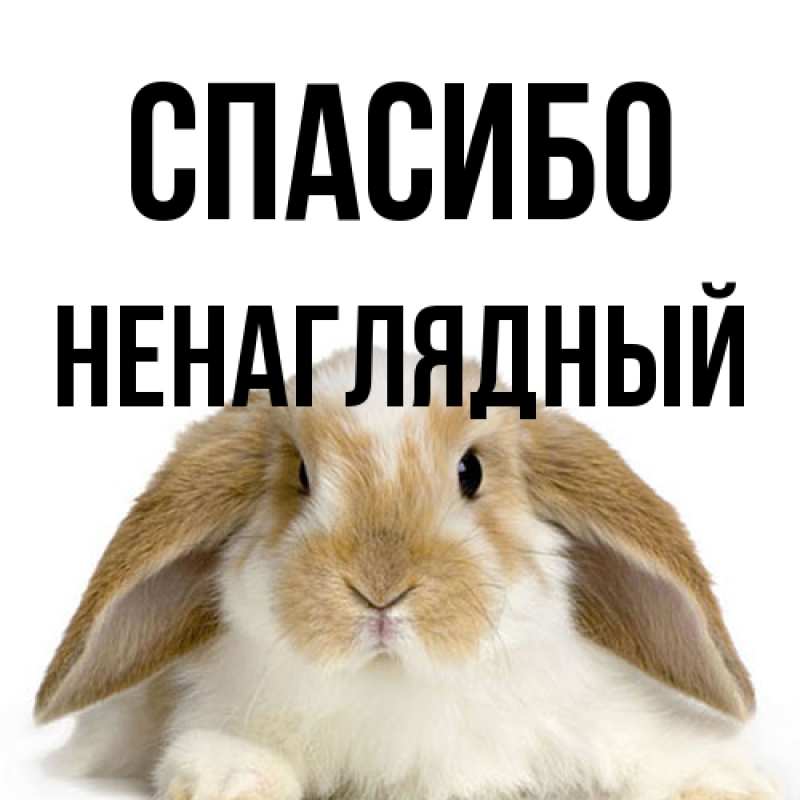 Картинка Спасибо, Ненаглядный