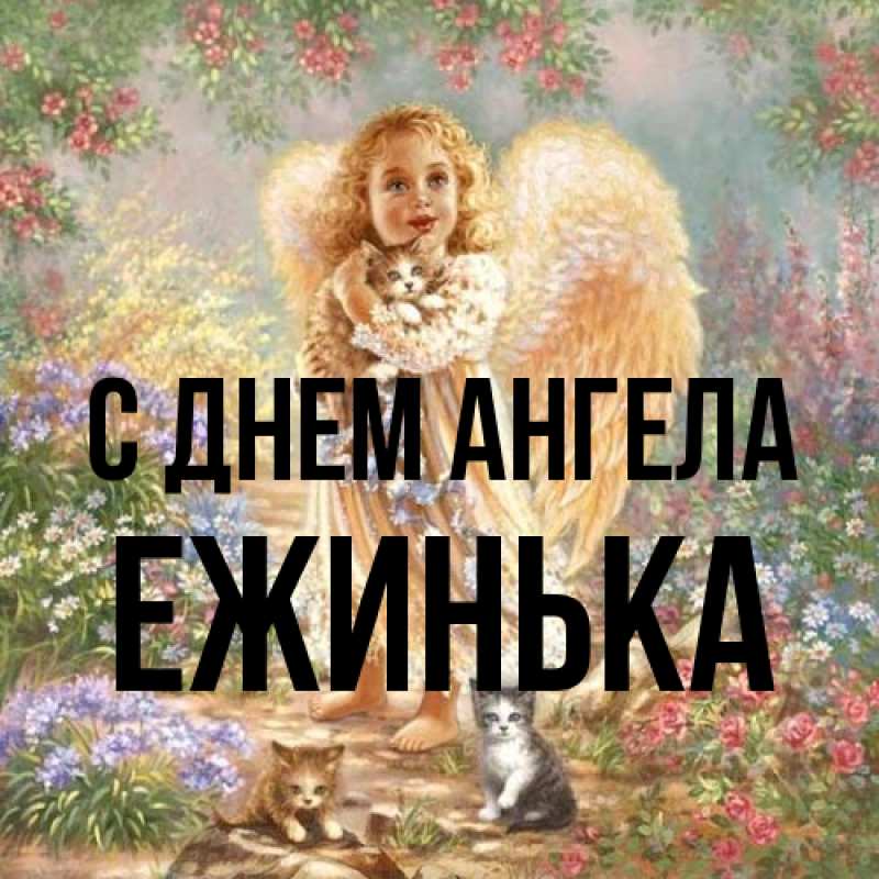 Картинка С днем ангела, ежинька