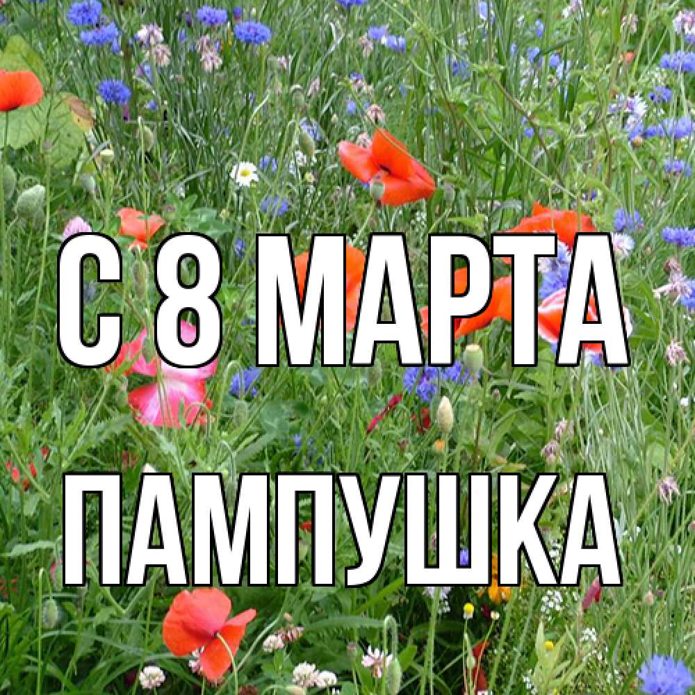 Открытка на каждый день с именем, Пампушка C 8 МАРТА международный женский день 4 Прикольная открытка с пожеланием онлайн скачать бесплатно 