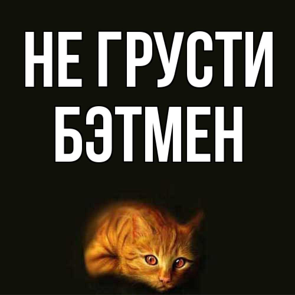 Открытка на каждый день с именем, Бэтмен Не грусти лежащий кот в темноте Прикольная открытка с пожеланием онлайн скачать бесплатно 