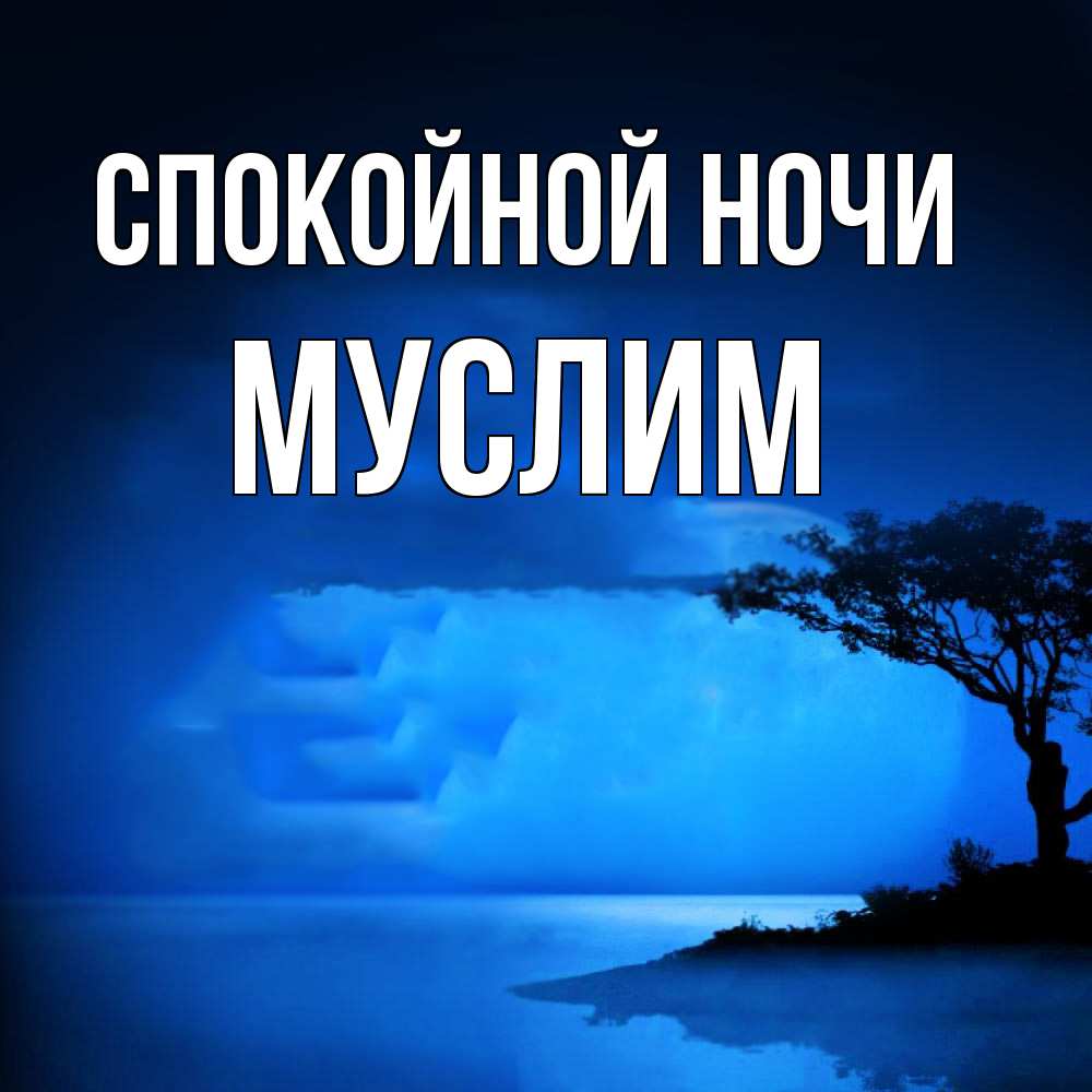 Открытка на каждый день с именем, Муслим Спокойной ночи ночное побережье Прикольная открытка с пожеланием онлайн скачать бесплатно 