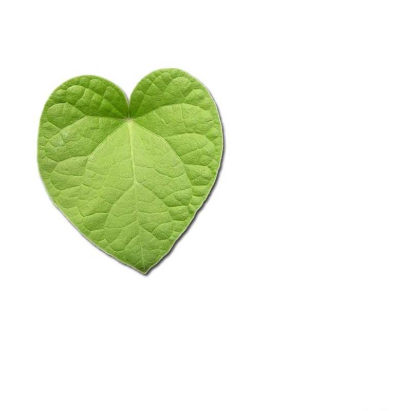 Картинка Я тебя люблю, Мурочка