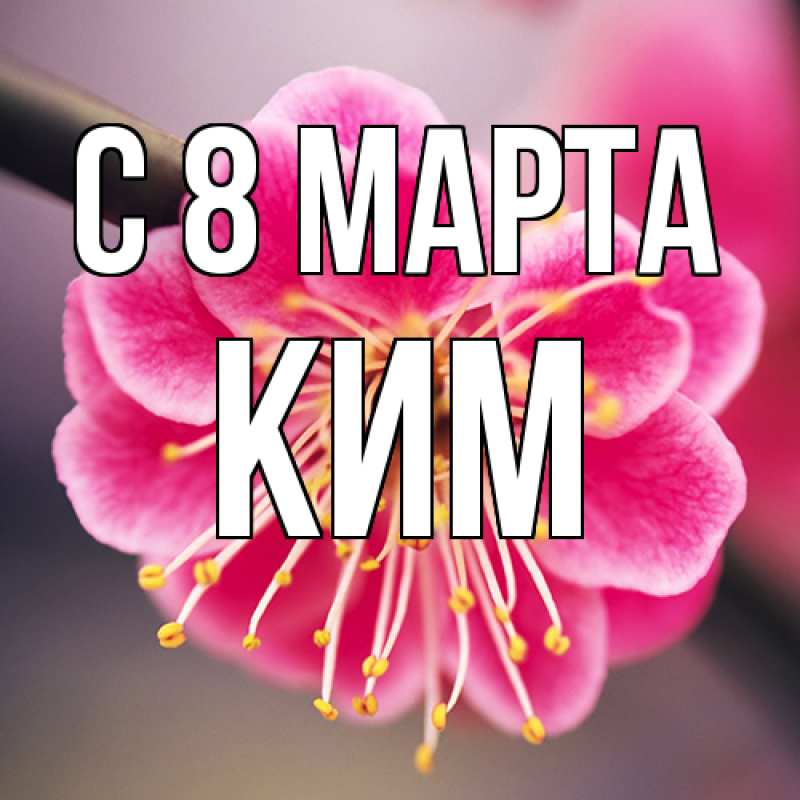 Картинка C 8 МАРТА, Ким