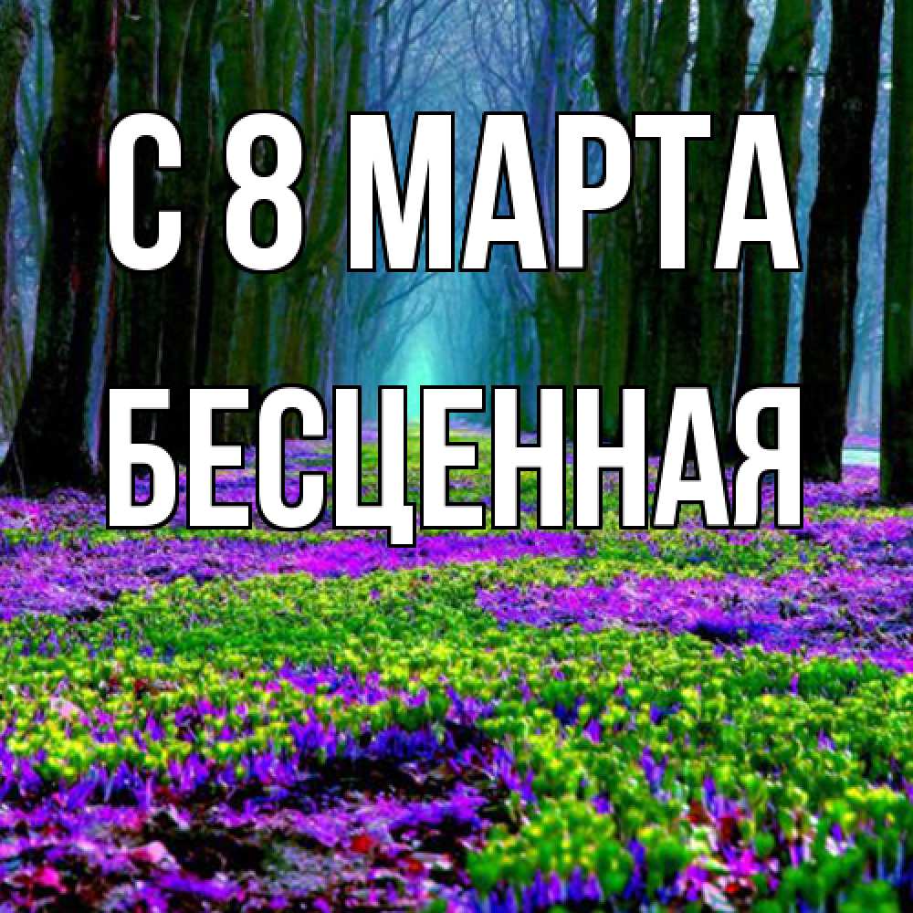 Открытка на каждый день с именем, Бесценная C 8 МАРТА фиолетовые цветы в лесу 1 Прикольная открытка с пожеланием онлайн скачать бесплатно 