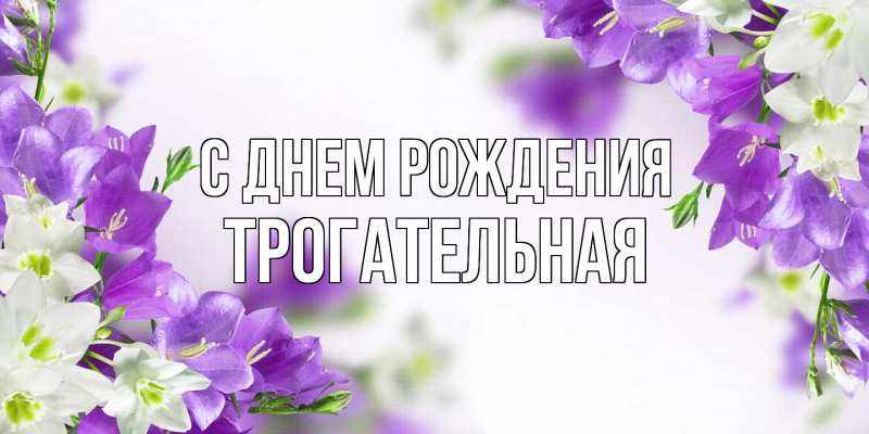 Картинка С днем рождения, Тpогательная