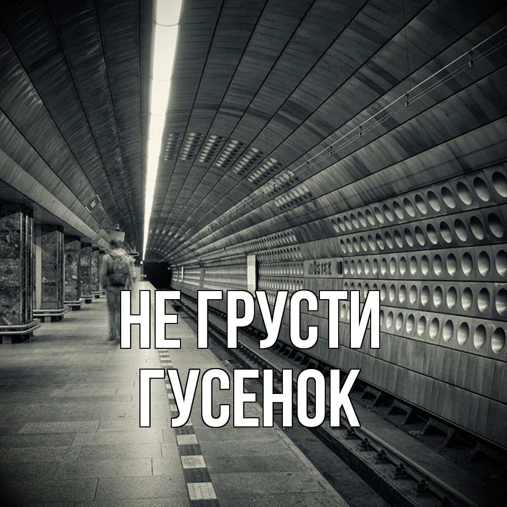 Открытка на каждый день с именем, гусенок Не грусти пустая станция метро Прикольная открытка с пожеланием онлайн скачать бесплатно 