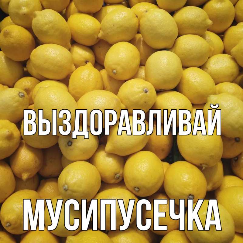 Картинка Выздоравливай, Мусипусечка