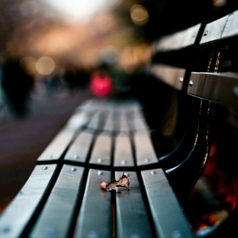 Картинка Не грусти, Заюшка