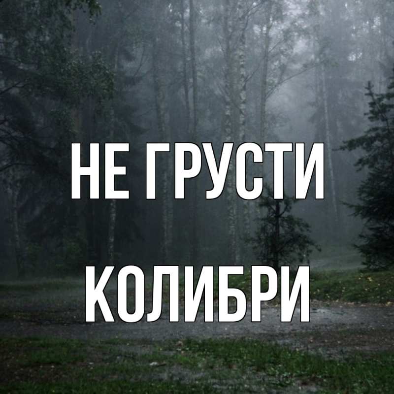 Картинка Не грусти, Колибри