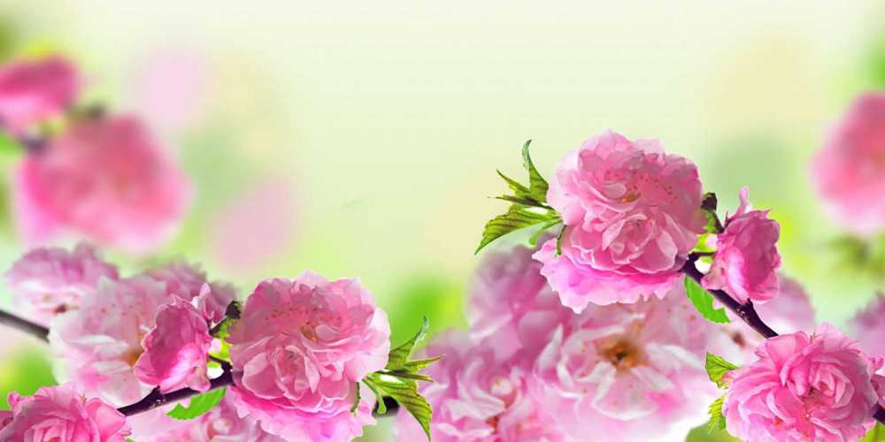Открытка на каждый день с именем, Климентина С днем рождения веточки с цветками Прикольная открытка с пожеланием онлайн скачать бесплатно 