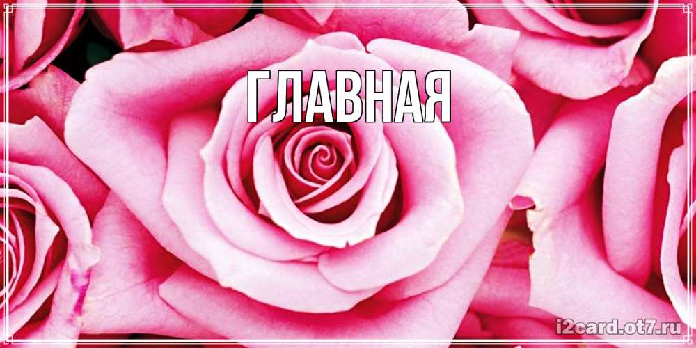 Открытка на каждый день с именем, Анна Главная роза розовая на день Святого Валентина Прикольная открытка с пожеланием онлайн скачать бесплатно 