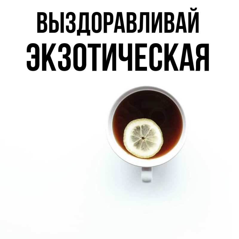 Картинка Выздоравливай, Экзотическая