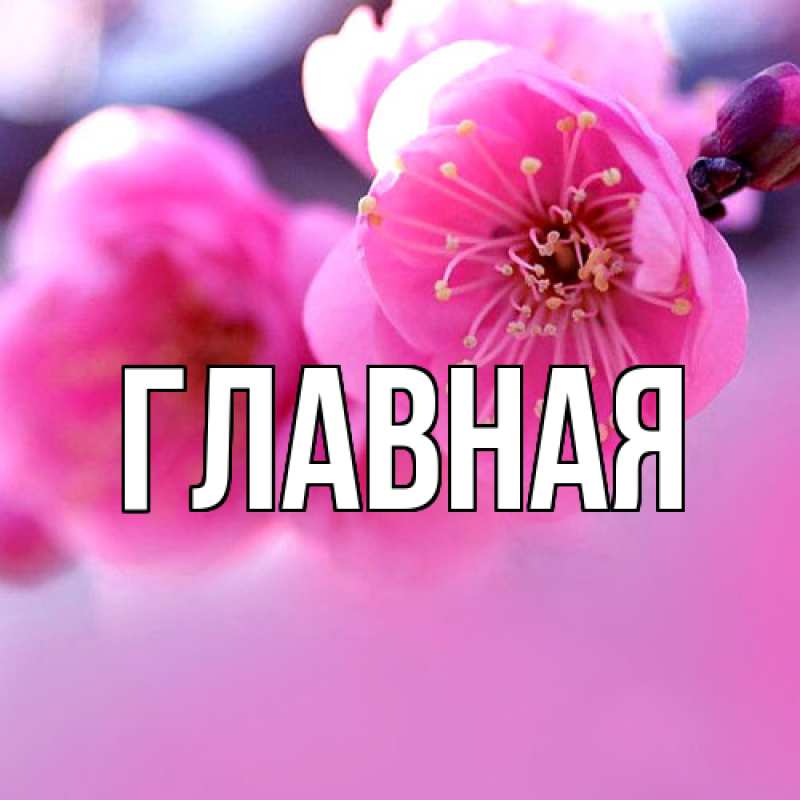 Картинка  с именем , настя