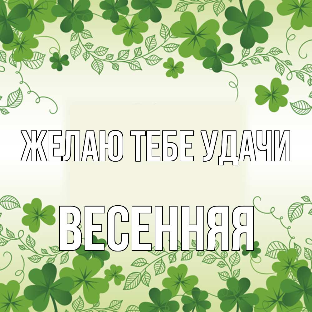 Открытка на каждый день с именем, Весенняя Желаю тебе удачи открытка Прикольная открытка с пожеланием онлайн скачать бесплатно 