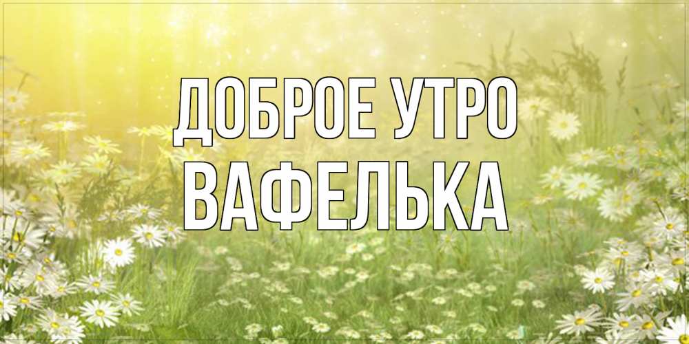 Открытка на каждый день с именем, вафелька Доброе утро доброе утро Прикольная открытка с пожеланием онлайн скачать бесплатно 