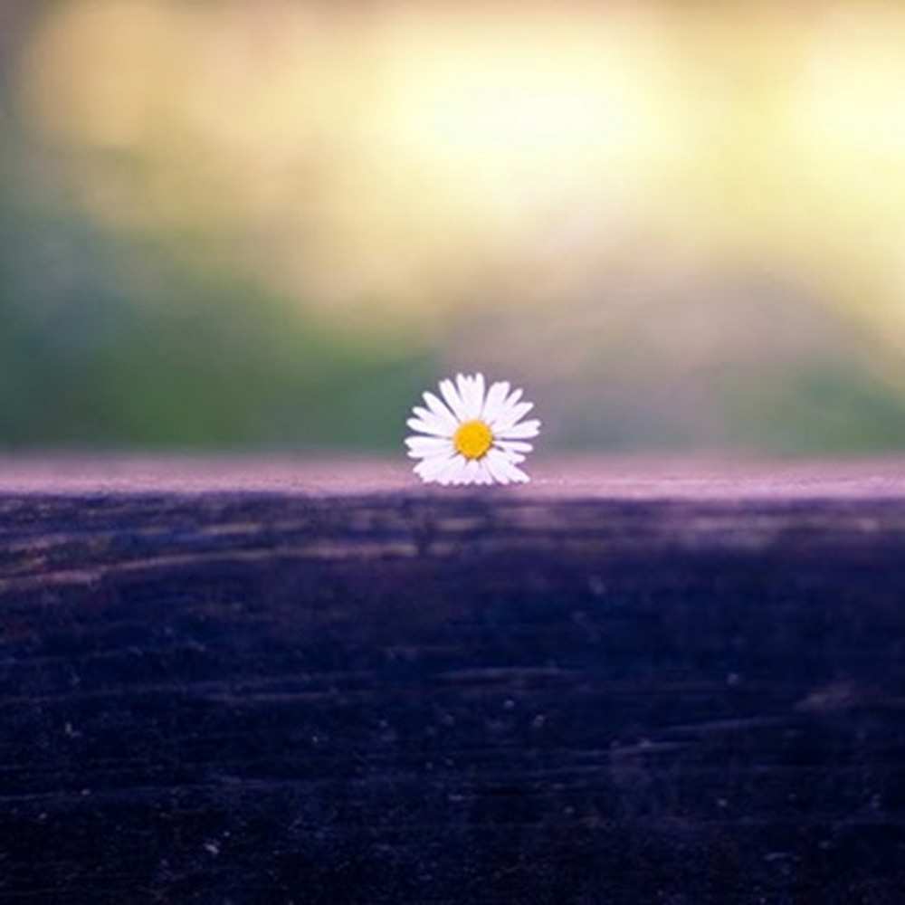 Открытка на каждый день с именем, Зарема Я по тебе скучаю приходи в гости Прикольная открытка с пожеланием онлайн скачать бесплатно 