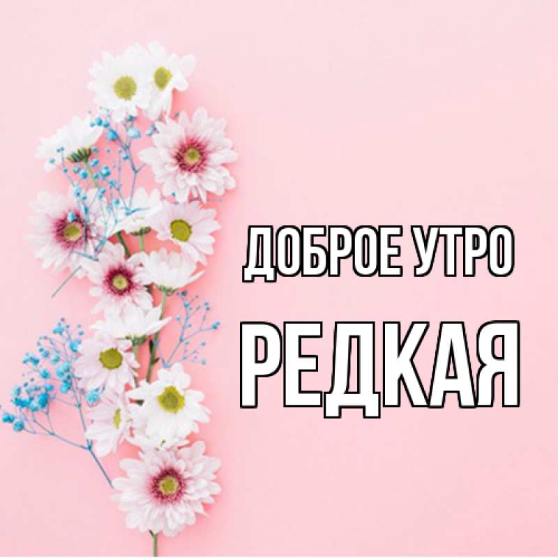 Картинка Доброе утро, Редкая
