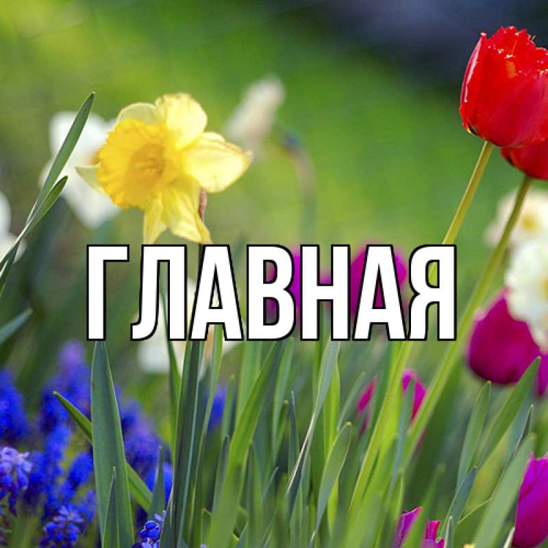 Картинка  с именем , Марьяна