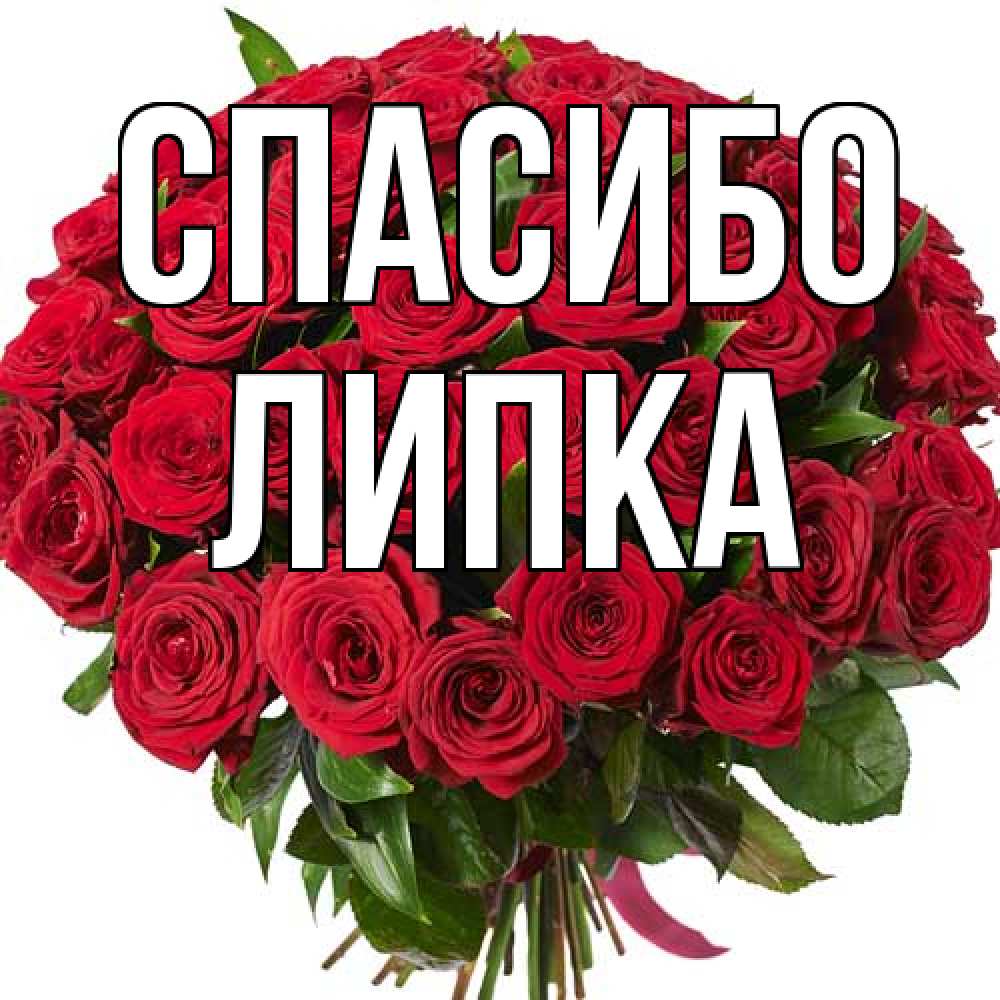 Открытка на каждый день с именем, Липка Спасибо букет красных роз Прикольная открытка с пожеланием онлайн скачать бесплатно 