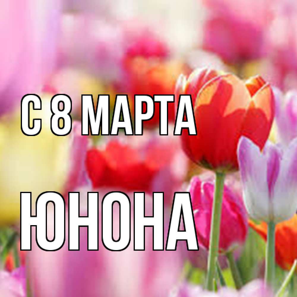 Открытка на каждый день с именем, Юнона C 8 МАРТА на международный женский день 2 Прикольная открытка с пожеланием онлайн скачать бесплатно 