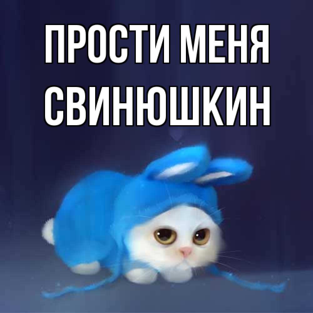 Открытка на каждый день с именем, Свинюшкин Прости меня невинный котозай просит прощения Прикольная открытка с пожеланием онлайн скачать бесплатно 