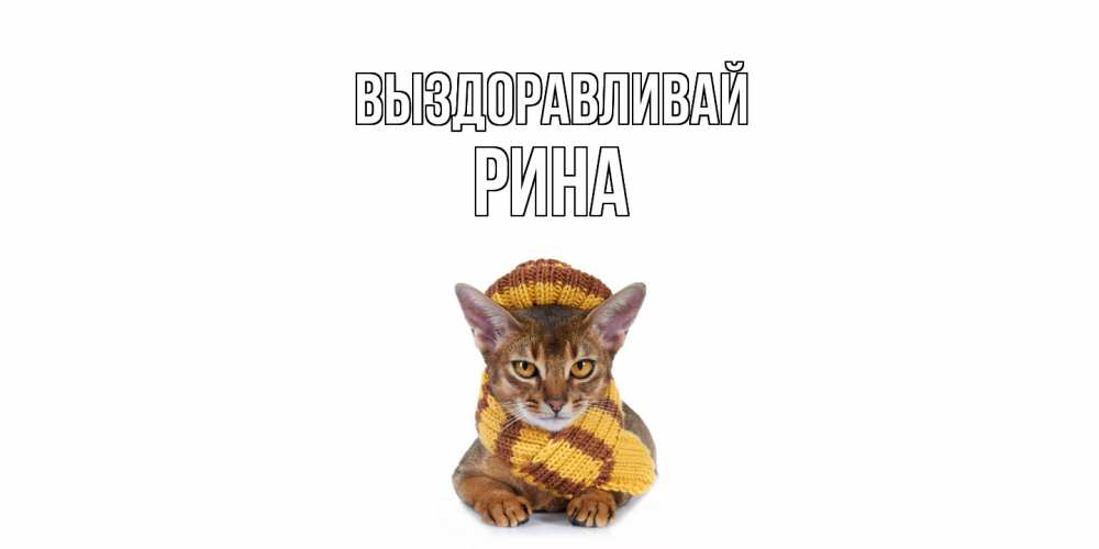 Открытка на каждый день с именем, Рина Выздоравливай родные не болейте Прикольная открытка с пожеланием онлайн скачать бесплатно 