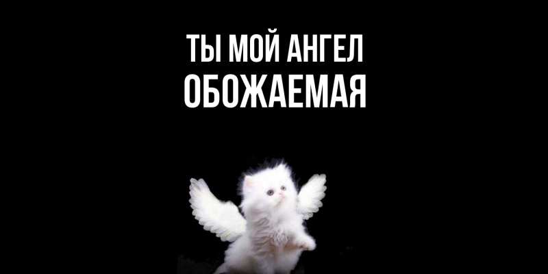 Картинка Ты мой ангел, обожаемая