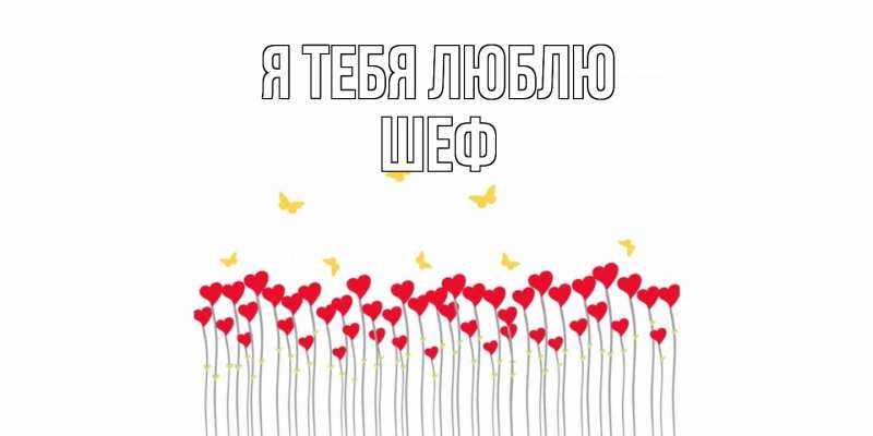 Картинка Я тебя люблю, Шеф