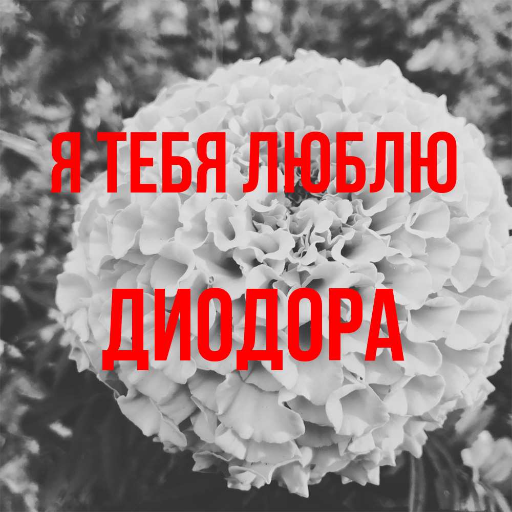 Открытка на каждый день с именем, Диодора Я тебя люблю подпись Прикольная открытка с пожеланием онлайн скачать бесплатно 