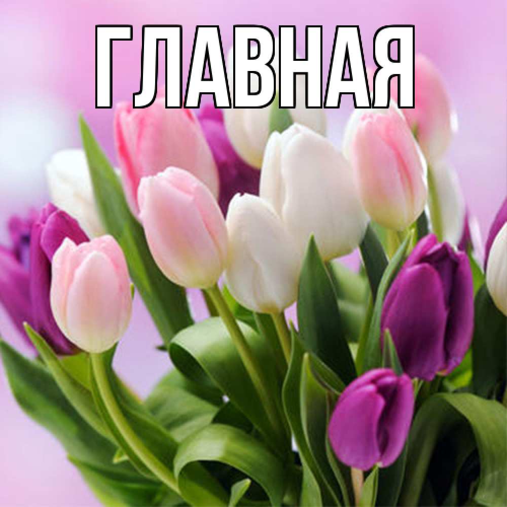 Открытка на каждый день с именем, Анна Главная весна март Прикольная открытка с пожеланием онлайн скачать бесплатно 