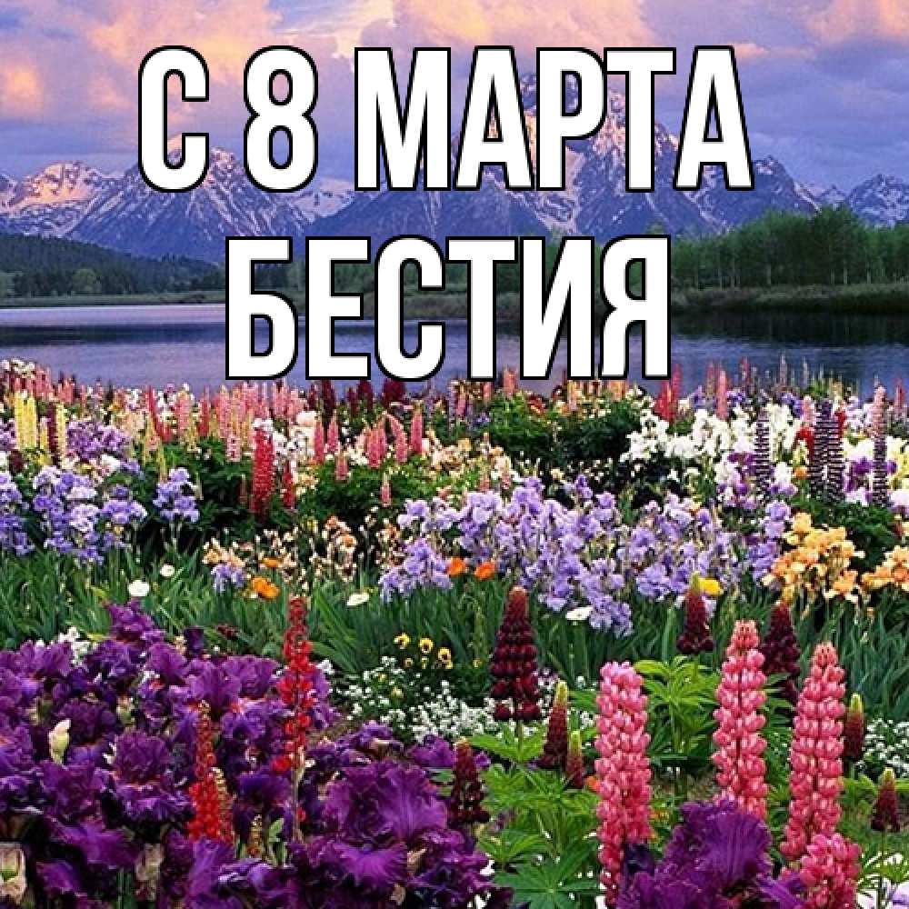 Открытка на каждый день с именем, Бестия C 8 МАРТА международный женский день Прикольная открытка с пожеланием онлайн скачать бесплатно 