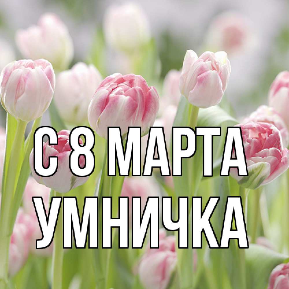 Открытка на каждый день с именем, Умничка C 8 МАРТА цветы Прикольная открытка с пожеланием онлайн скачать бесплатно 