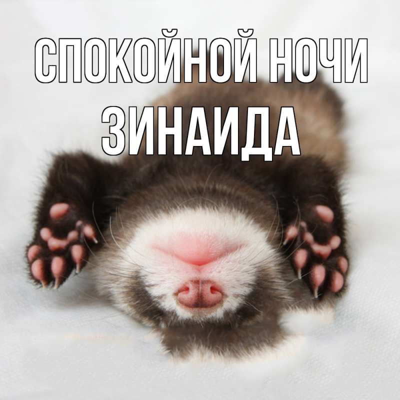 Картинка Спокойной ночи, Зинаида