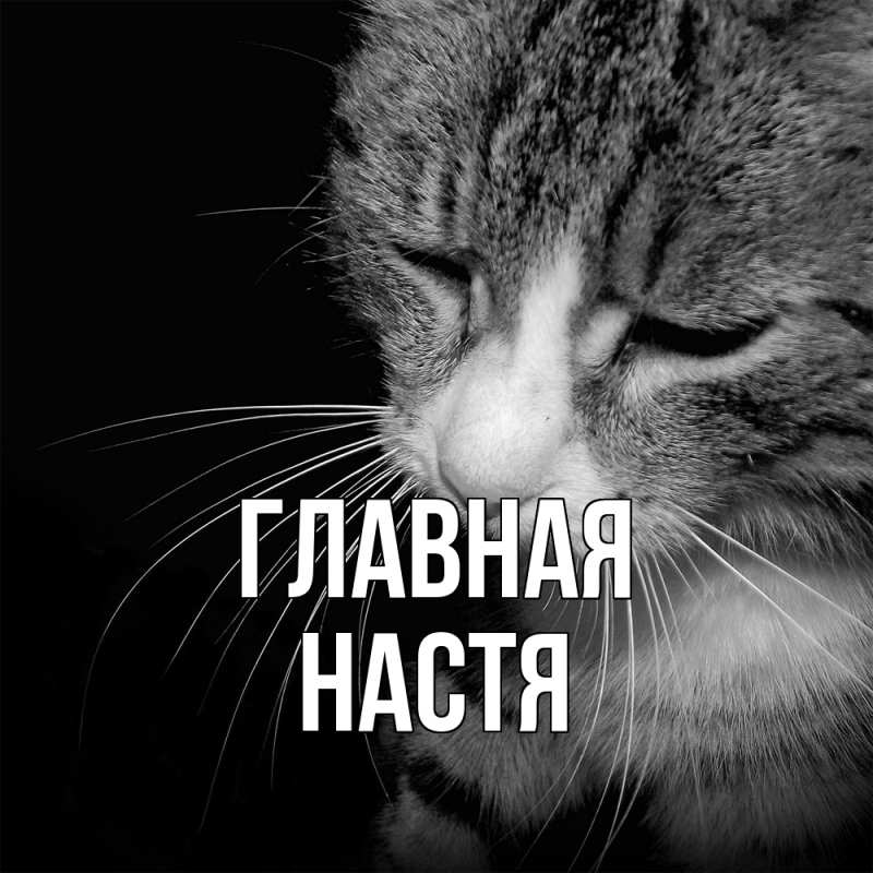 Картинка  с именем , настя