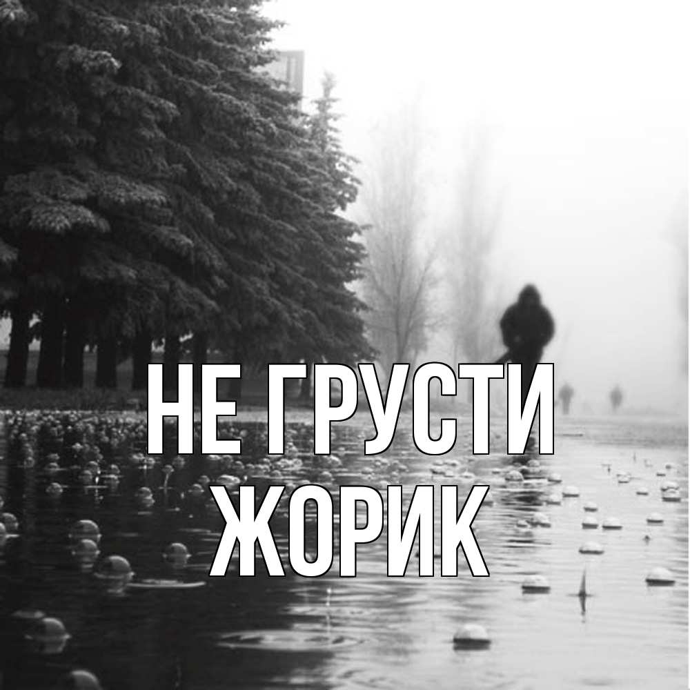 Открытка на каждый день с именем, жорик Не грусти улица под дождем Прикольная открытка с пожеланием онлайн скачать бесплатно 