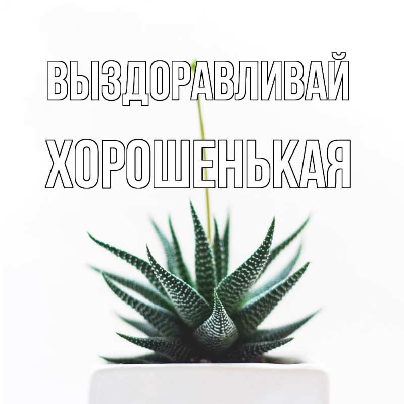 Картинка Выздоравливай, хорошенькая