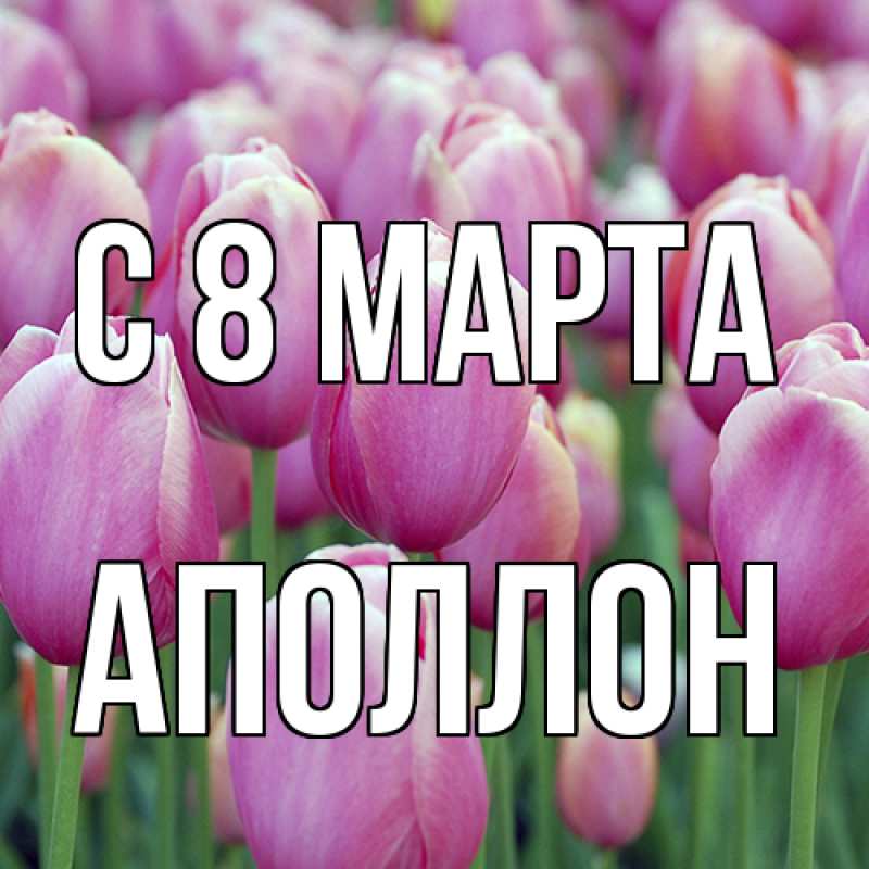 Картинка C 8 МАРТА, Аполлон