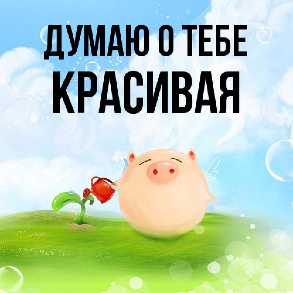Открытка на каждый день с именем, Красивая Думаю о тебе позитивная свинюшка Прикольная открытка с пожеланием онлайн скачать бесплатно 