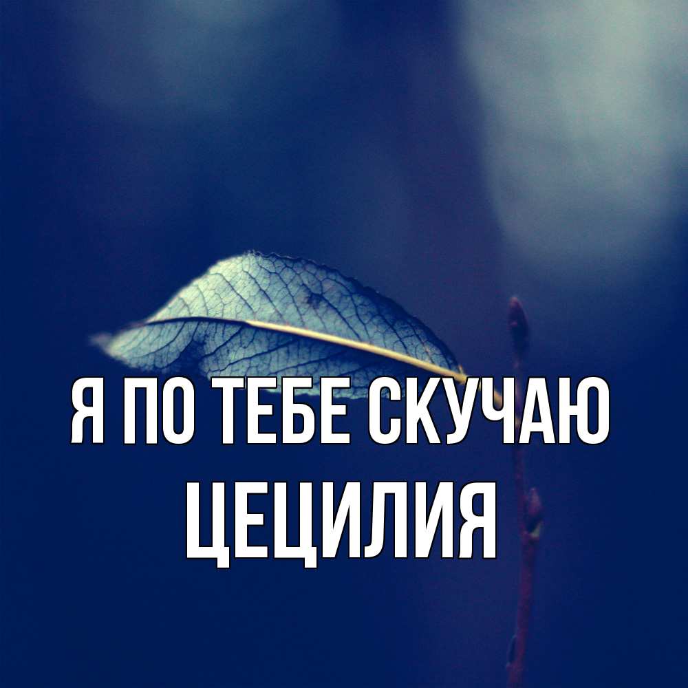 Открытка на каждый день с именем, Цецилия Я по тебе скучаю одна ветка 1 Прикольная открытка с пожеланием онлайн скачать бесплатно 
