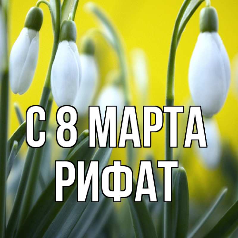Картинка C 8 МАРТА, Рифат