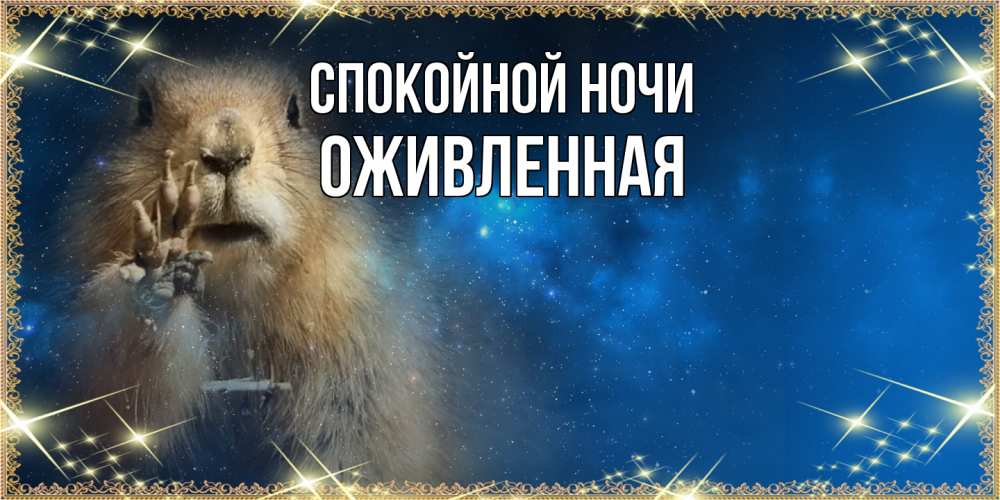 Открытка на каждый день с именем, Оживленная Спокойной ночи спокойной ночи сладких снов Прикольная открытка с пожеланием онлайн скачать бесплатно 