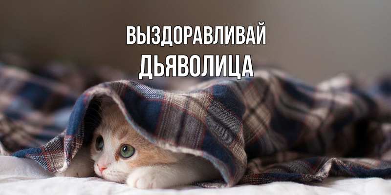 Картинка Выздоравливай, Дьяволица