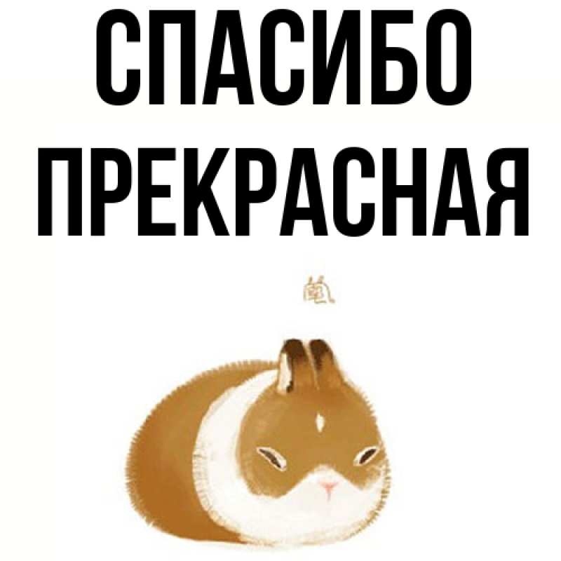Картинка Спасибо, Пpекpасная